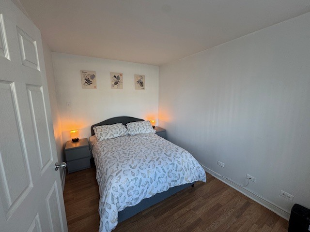 211 East Ohio Street, Unit 2405 Chicago, IL 60611 - Photo 9 of 23