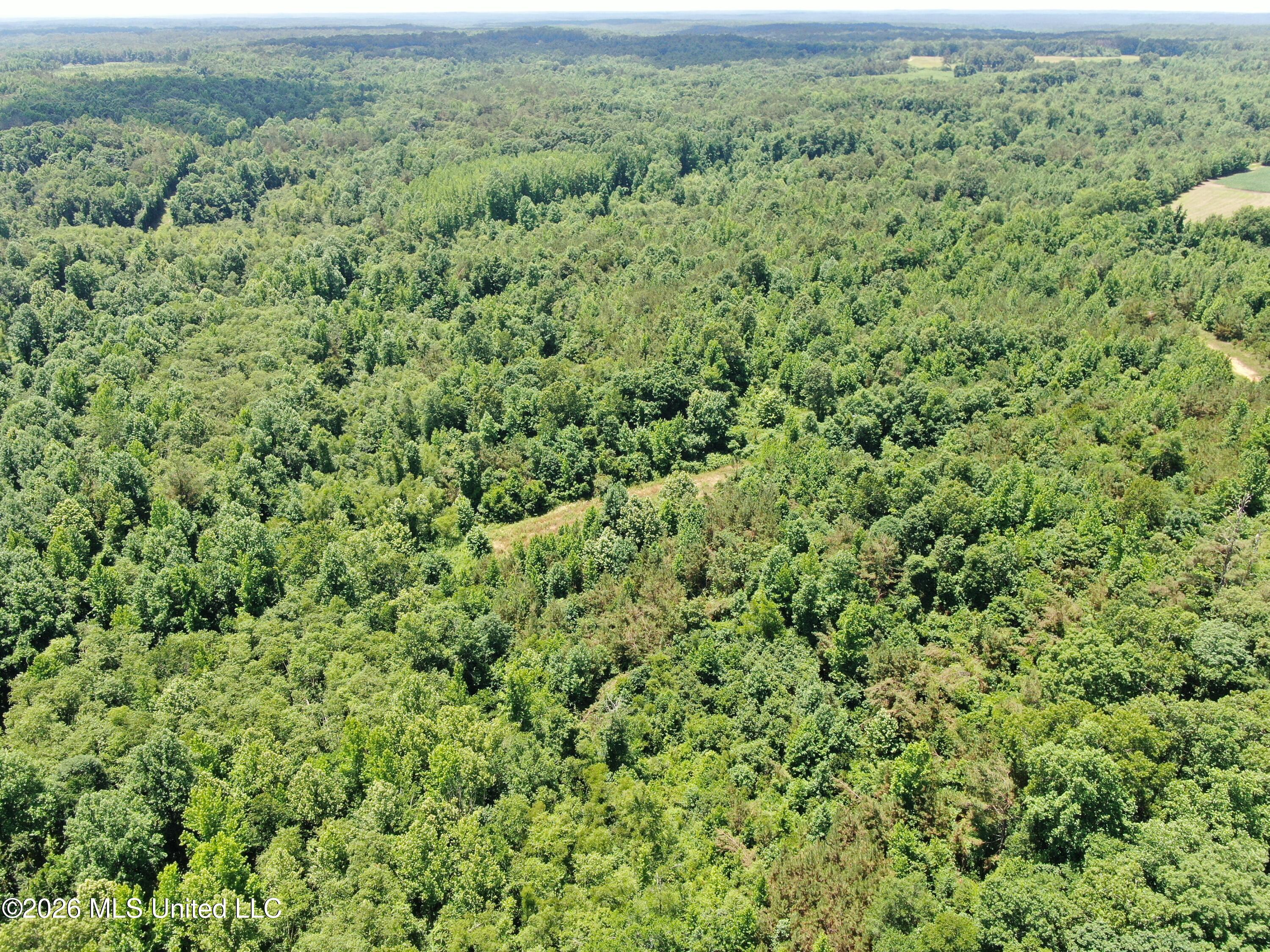 0 Scruggs Road Holly Springs, MS 38635 - Photo 3 of 25 DJI_0030