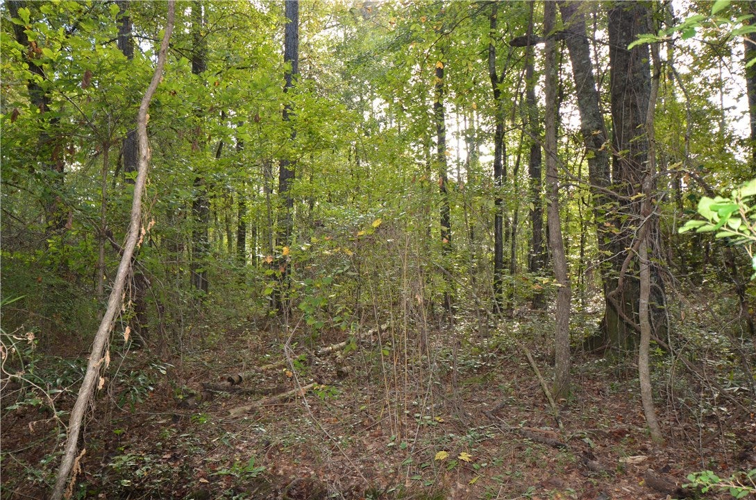 4371 Wimberly Road Auburn, AL 36832 - Photo 12 of 13 Gallery Image 12