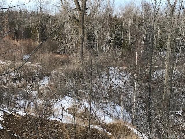 Kelly Rd Kelly Road Cass City, MI 48726 - Photo 13 of 22