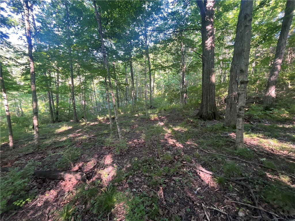 0 Stephen Young Road Camden, OH 45311 - Photo 7 of 57