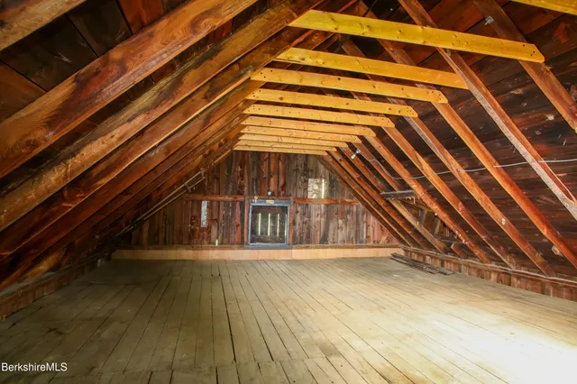 a view of a forest that has a tree