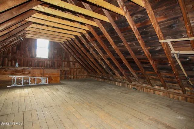 a view of a lush green forest