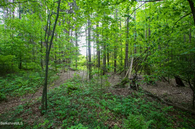 a view of a house with a garden