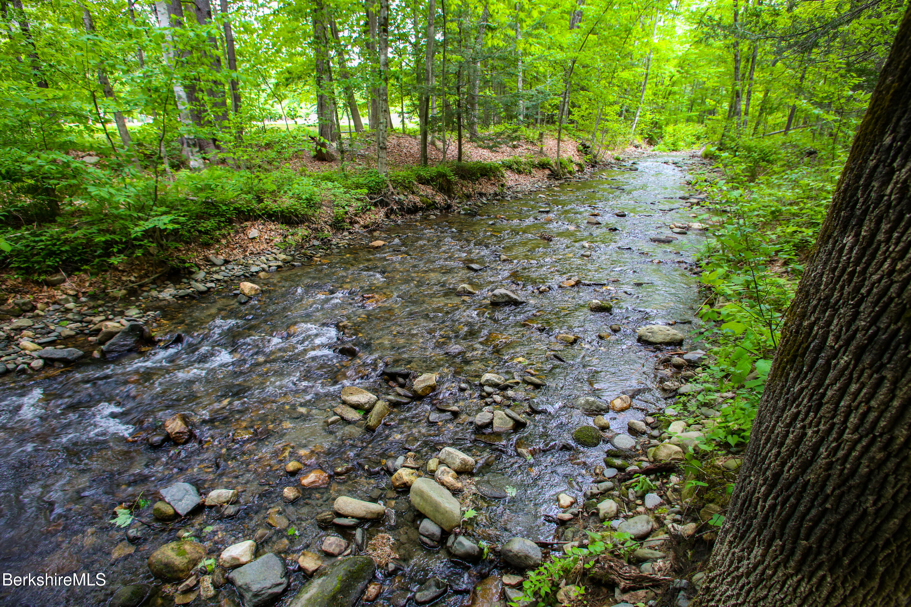 31 West Oxbow Road Charlemont, MA 01370 - Photo 33 of 39 a view of a forest that has a tree