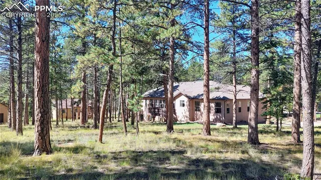 a view of a wooden deck with chairs and trees