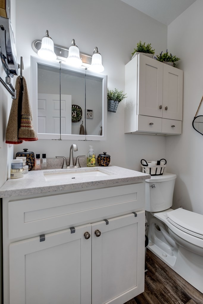 4700 Honey Creek Loop Road Allardt, TN 38504 - Photo 46 of 70 a bathroom with a sink and a mirror
