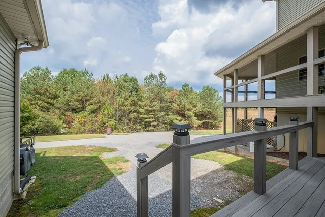 a view of a deck with wooden floor and a potted plant