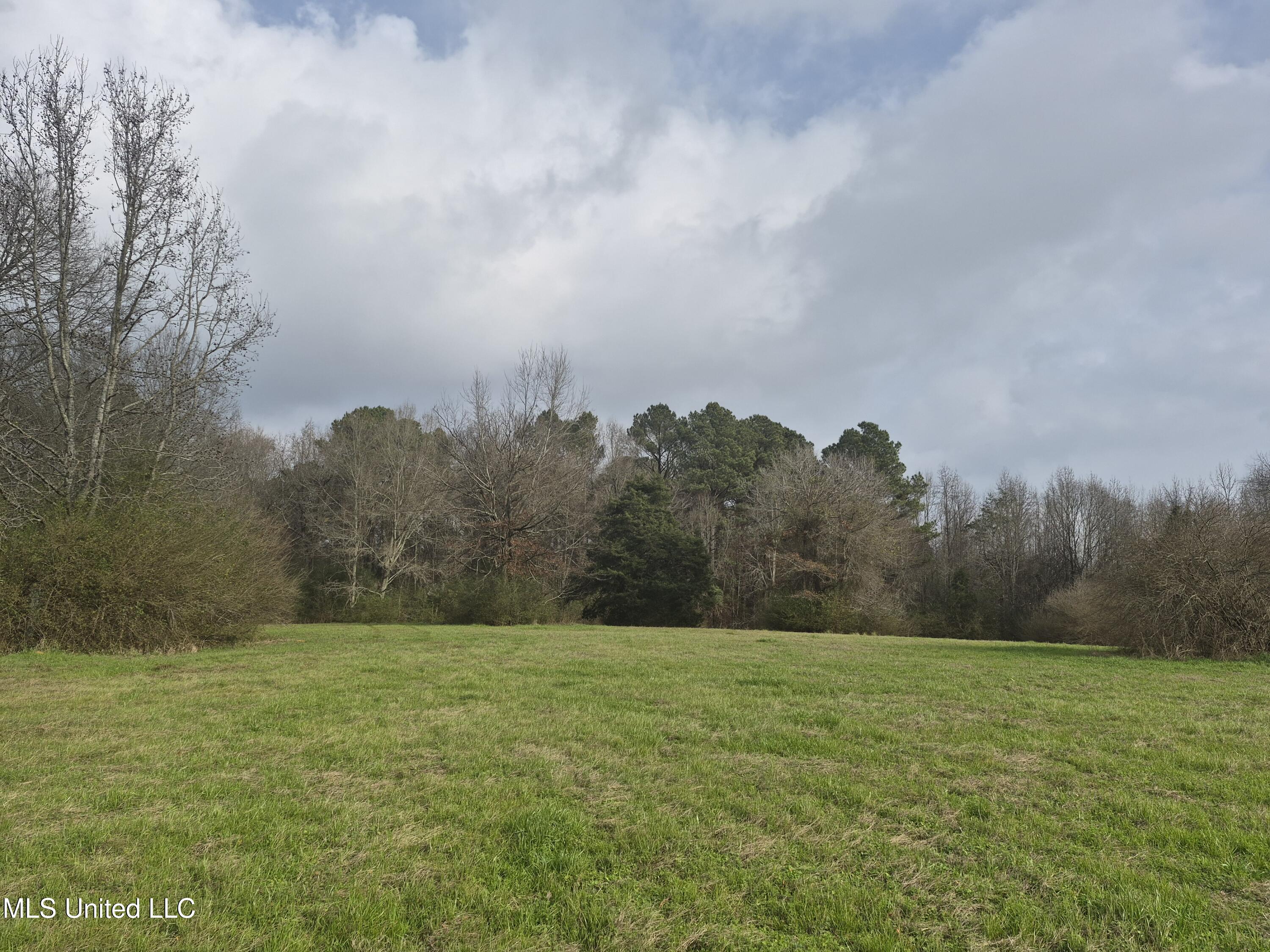 Pine Grove Road Walnut Grove, MS 39189 - Photo 6 of 9 7710