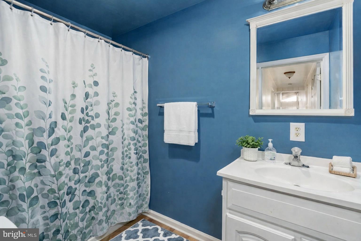 28 Tanglewood Road Palmyra, VA 22963 - Photo 13 of 44 a bathroom with a sink and a mirror