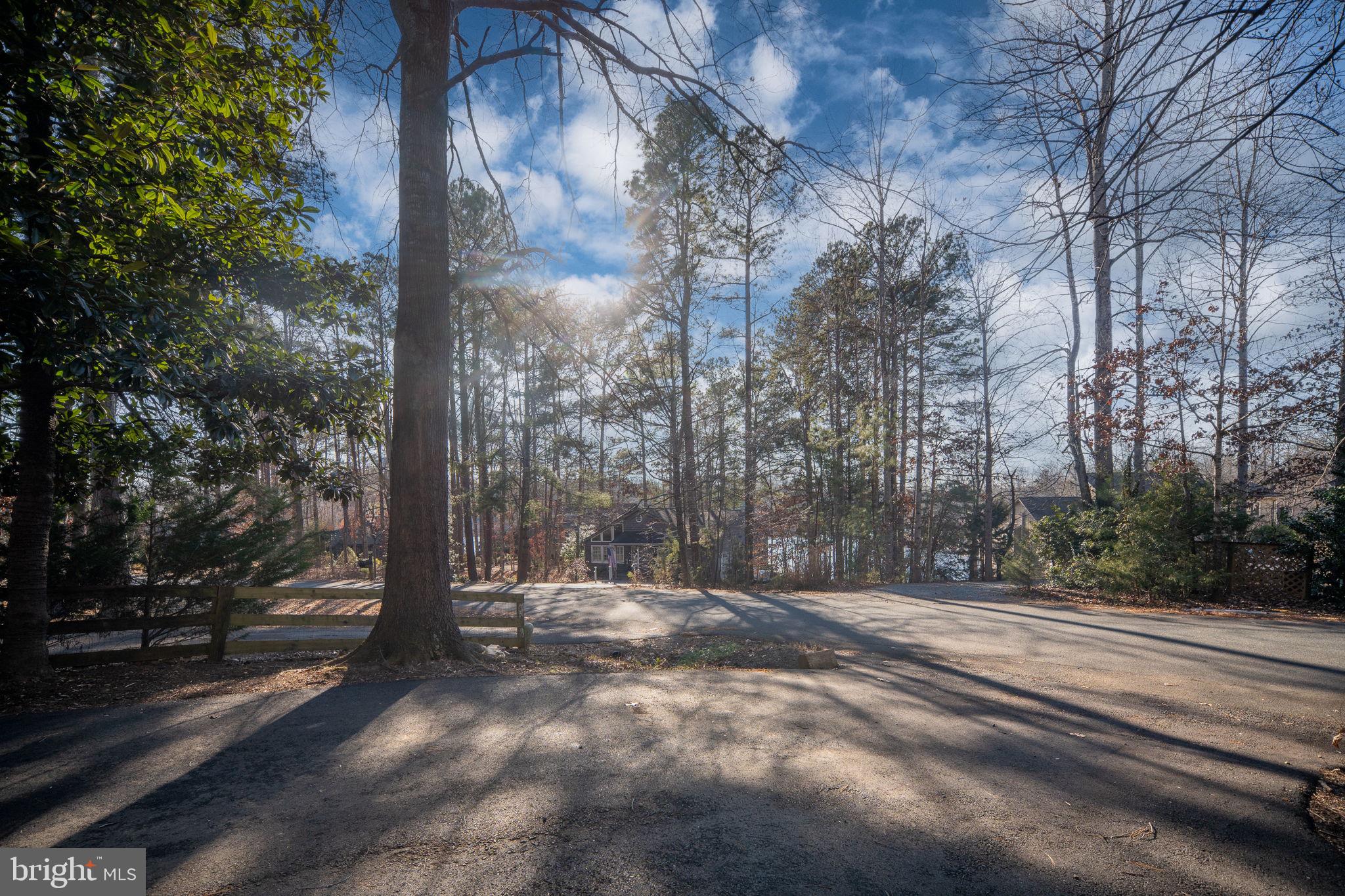 28 Tanglewood Road Palmyra, VA 22963 - Photo 18 of 44 a view of backyard with tree