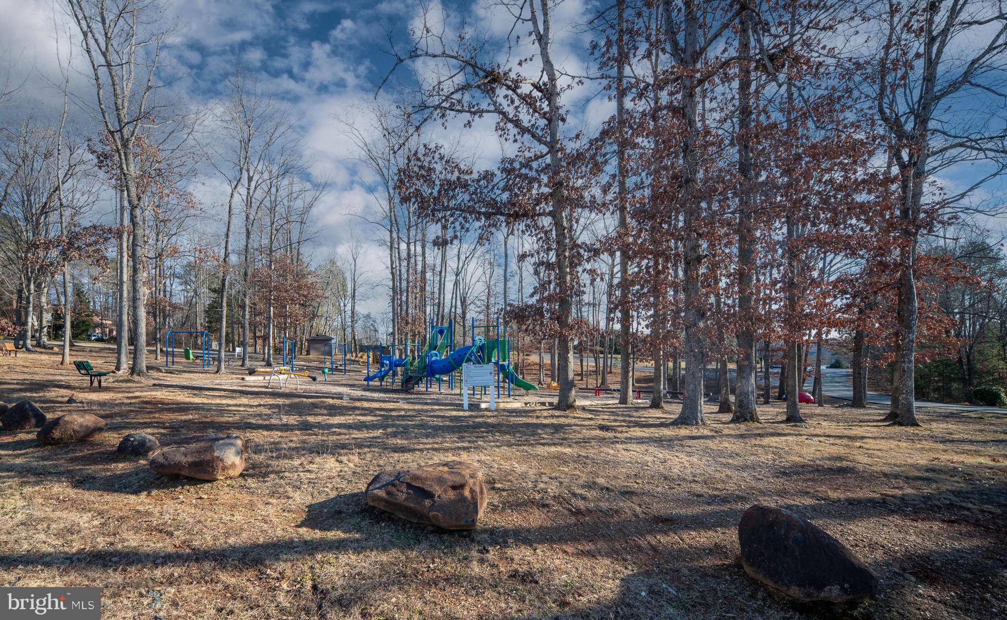 28 Tanglewood Road Palmyra, VA 22963 - Photo 19 of 44 a building with trees in the background