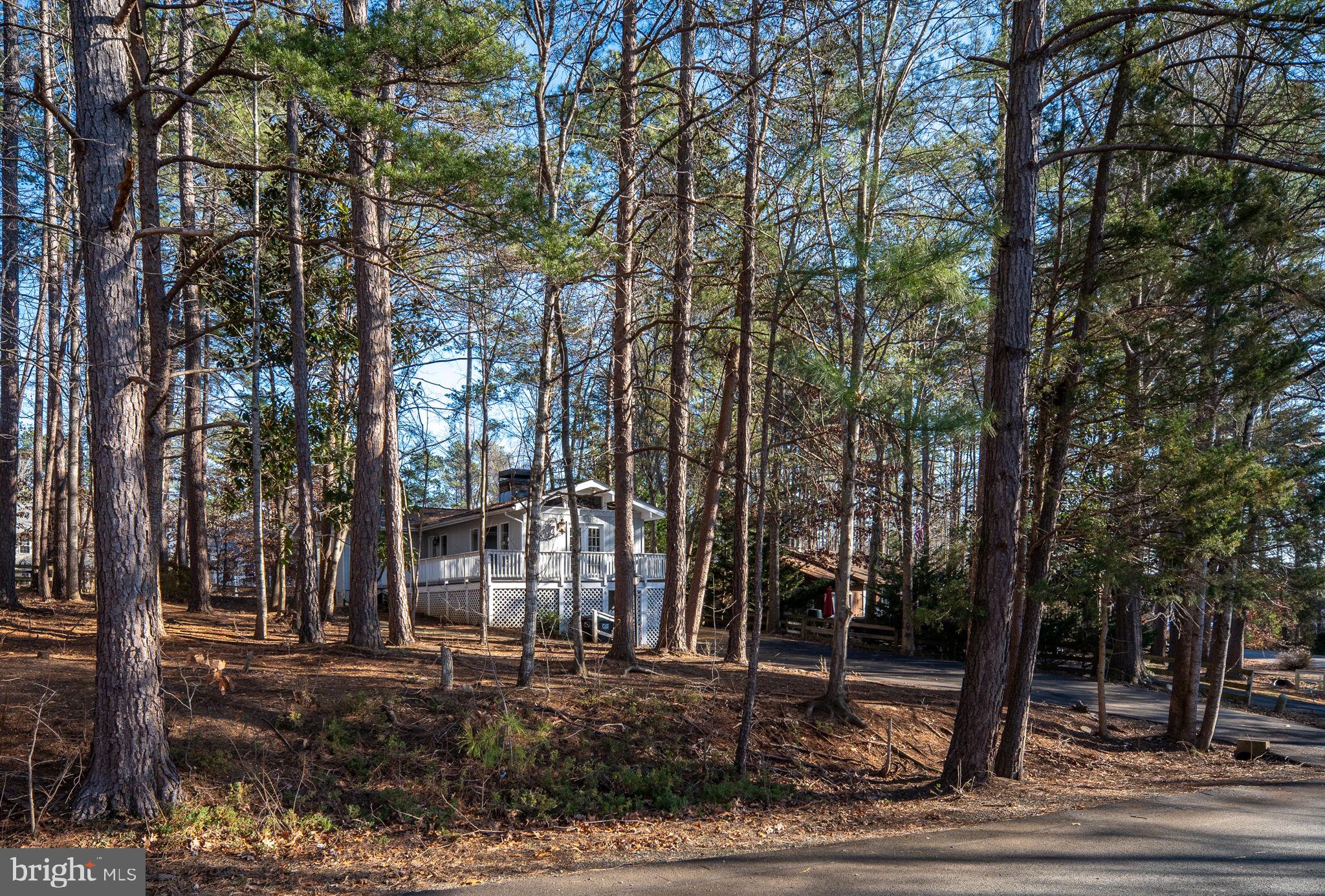 28 Tanglewood Road Palmyra, VA 22963 - Photo 31 of 44 a view of a park with large trees