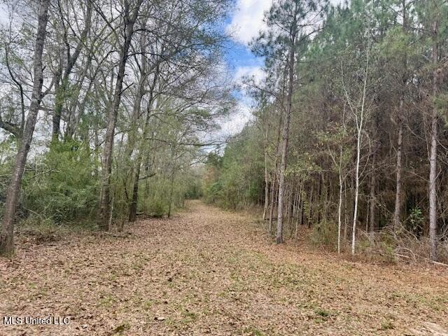 Military Road Sandy Hook, MS 39478 - Photo 1 of 31 IMG_7302