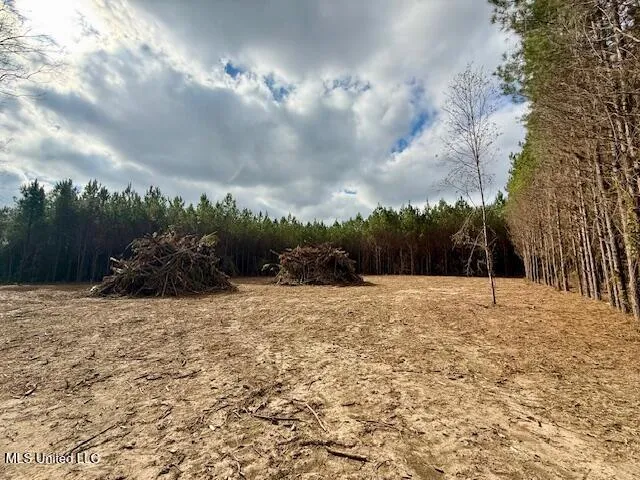 $112,000 | Military Road, Sandy Hook, MS 39478