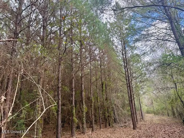 $112,000 | Military Road, Sandy Hook, MS 39478
