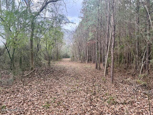 Military Road Sandy Hook, MS 39478 - Photo 16 of 31 IMG_7317