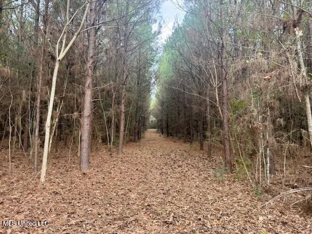 $112,000 | Military Road, Sandy Hook, MS 39478