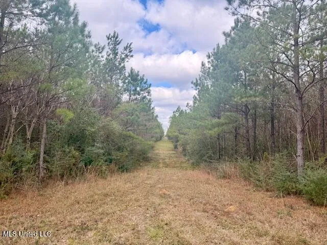 $112,000 | Military Road, Sandy Hook, MS 39478