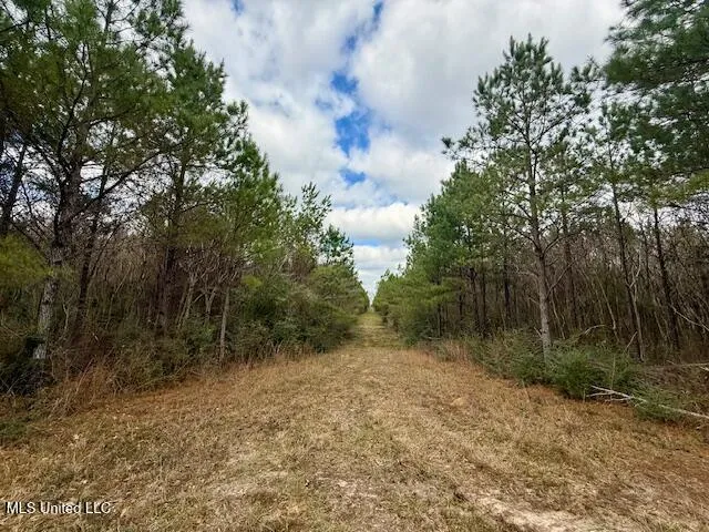 $112,000 | Military Road, Sandy Hook, MS 39478