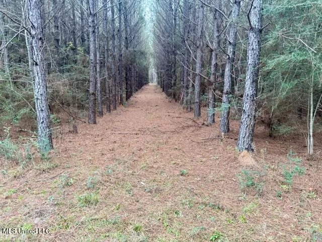 $112,000 | Military Road, Sandy Hook, MS 39478