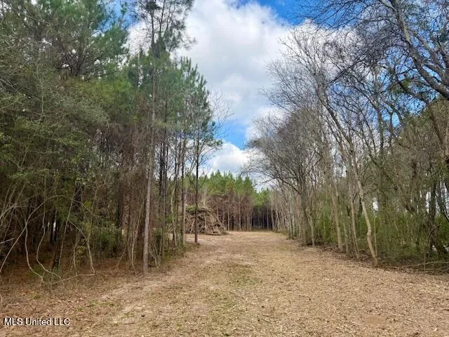 $112,000 | Military Road, Sandy Hook, MS 39478