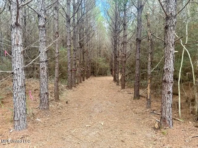 $112,000 | Military Road, Sandy Hook, MS 39478