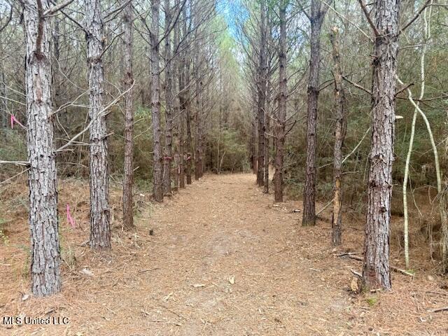 Military Road Sandy Hook, MS 39478 - Photo 21 of 31 IMG_7324