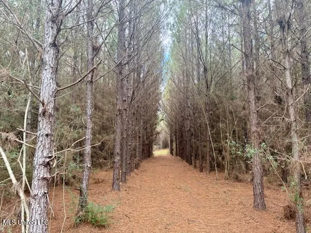 $112,000 | Military Road, Sandy Hook, MS 39478