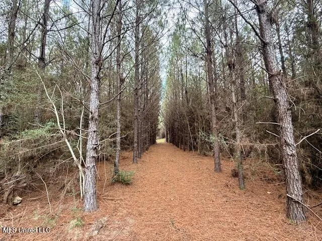 $112,000 | Military Road, Sandy Hook, MS 39478