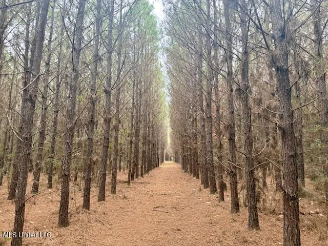 $112,000 | Military Road, Sandy Hook, MS 39478