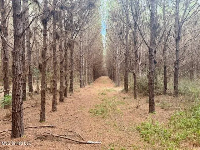 $112,000 | Military Road, Sandy Hook, MS 39478