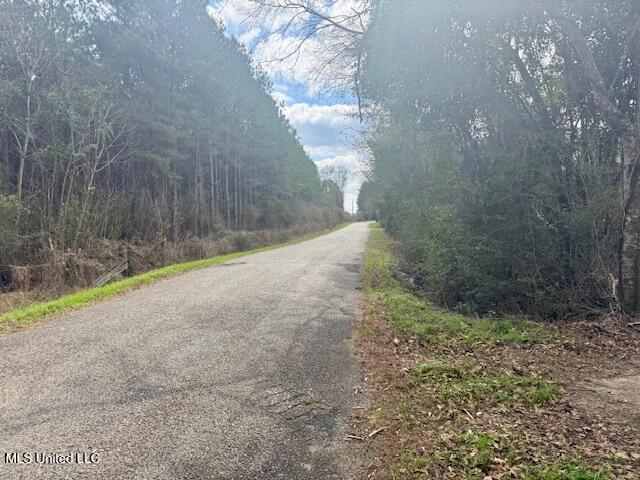 Military Road Sandy Hook, MS 39478 - Photo 27 of 31 IMG_7330