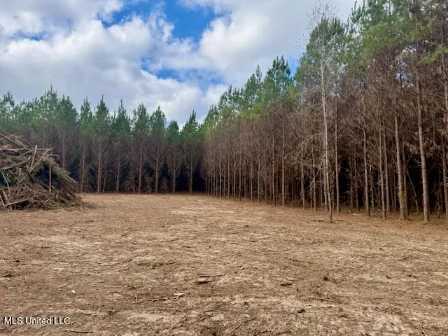 $112,000 | Military Road, Sandy Hook, MS 39478