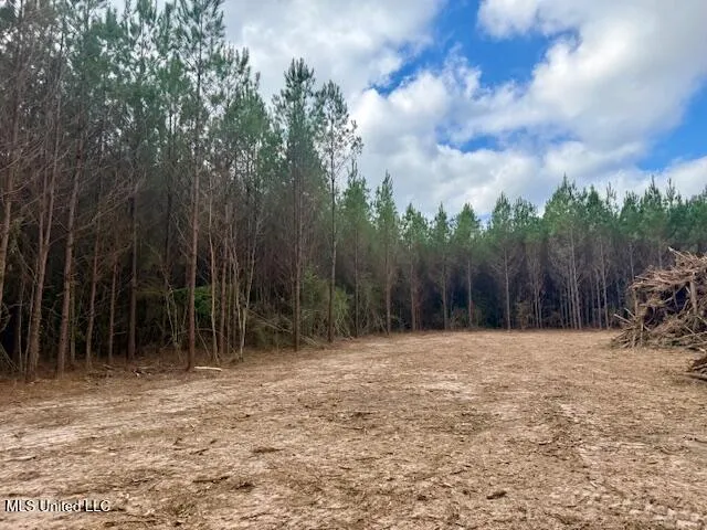 $112,000 | Military Road, Sandy Hook, MS 39478