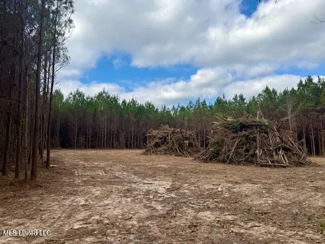 $112,000 | Military Road, Sandy Hook, MS 39478