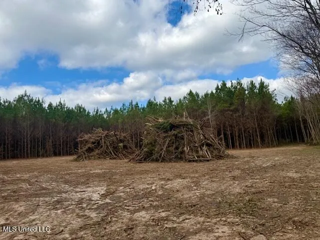 $112,000 | Military Road, Sandy Hook, MS 39478