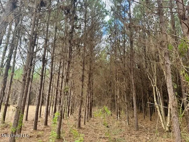 $112,000 | Military Road, Sandy Hook, MS 39478