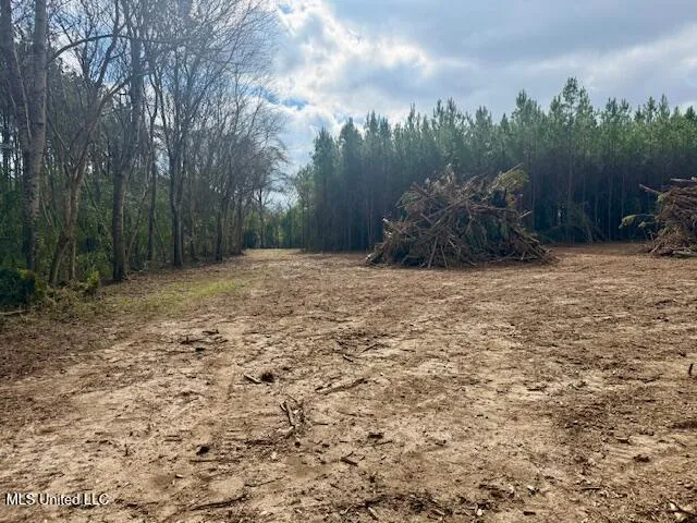 $112,000 | Military Road, Sandy Hook, MS 39478