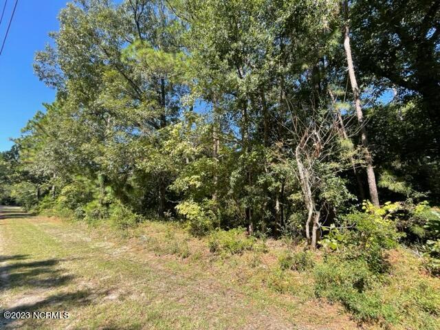 2101 Fieldcrest Road Southport, NC 28461 - Photo 1 of 14 wooded lot