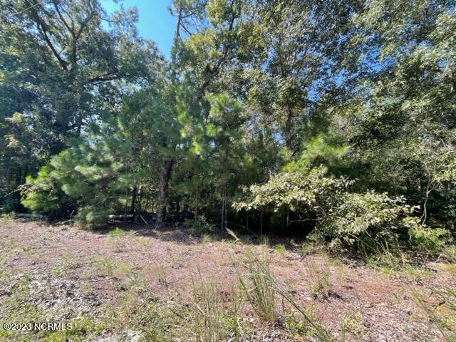 2101 Fieldcrest Road Southport, NC 28461 - Photo 12 of 14 2101 Fieldcrest Rd