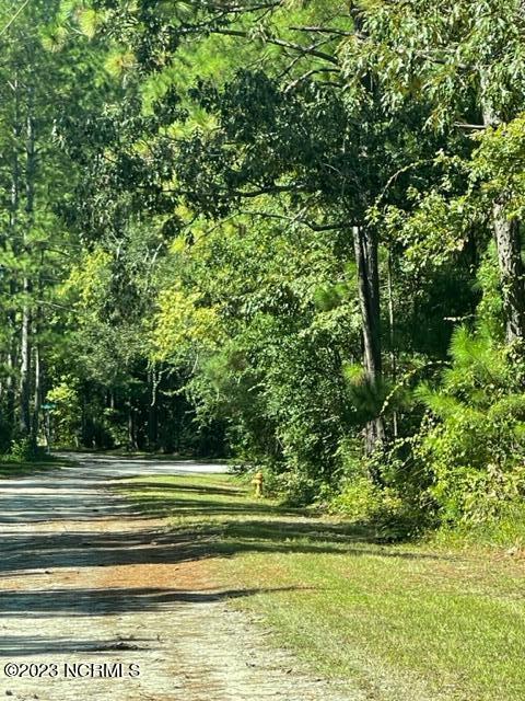 2101 Fieldcrest Road Southport, NC 28461 - Photo 3 of 14 plenty of road frontage
