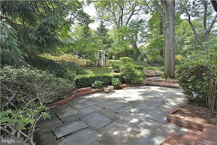 3216 Park View Road Chevy Chase, MD 20815 - Photo 7 of 29 a view of a yard with plants and a large tree