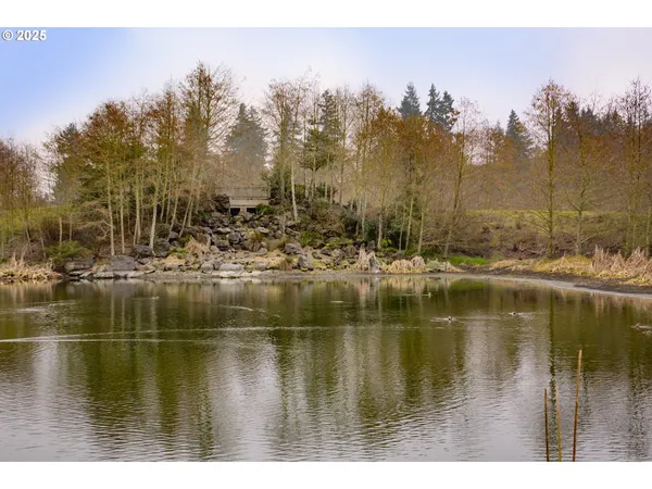 a view of lake