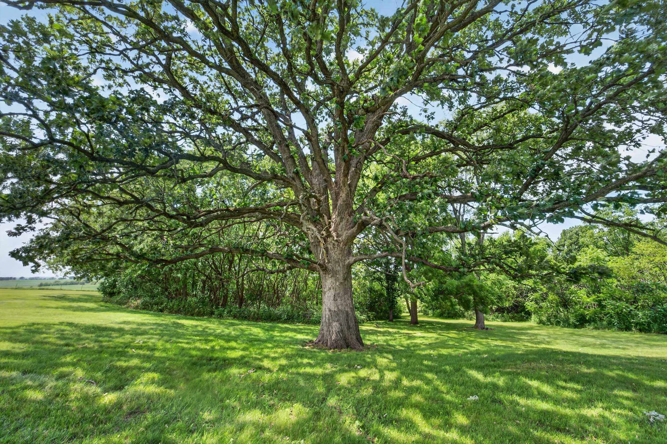 N7795 Panorama Road Belleville, WI 53508 - Photo 64 of 66