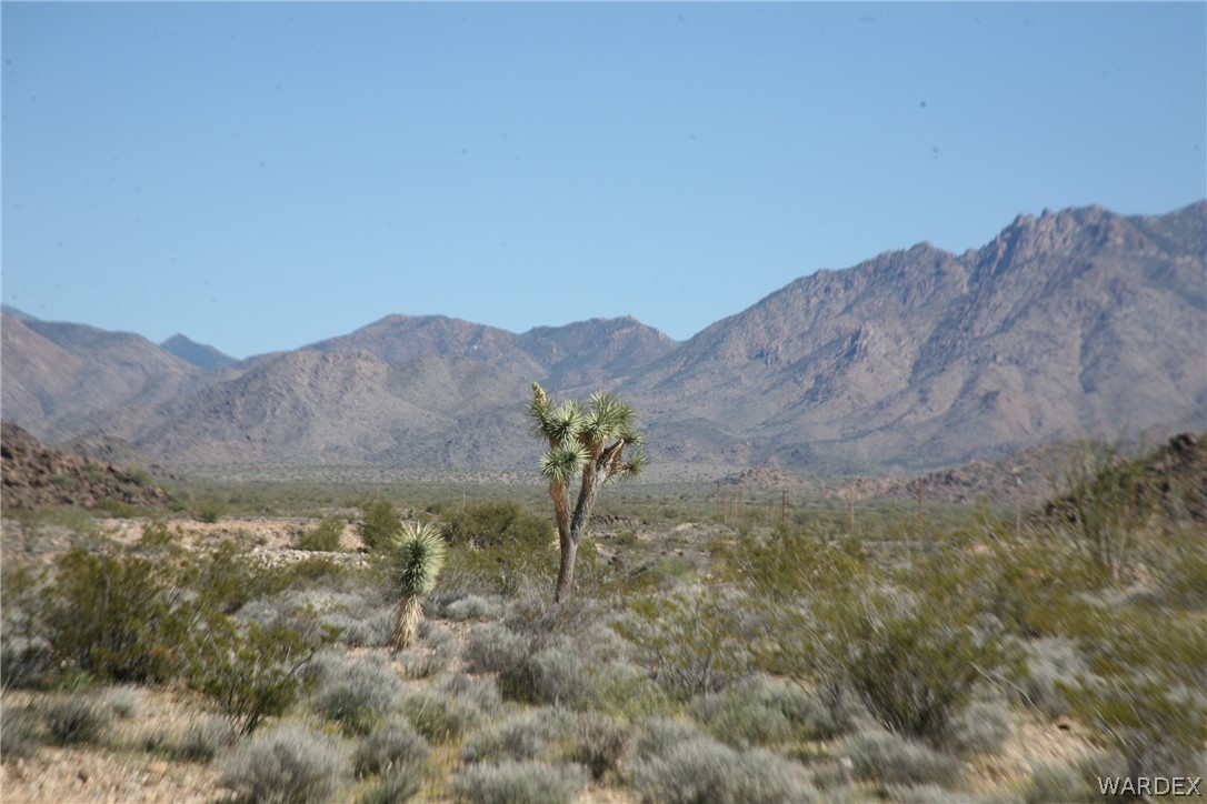 208-24-134 Cameron Road Yucca, AZ 86438 - Photo 2 of 86