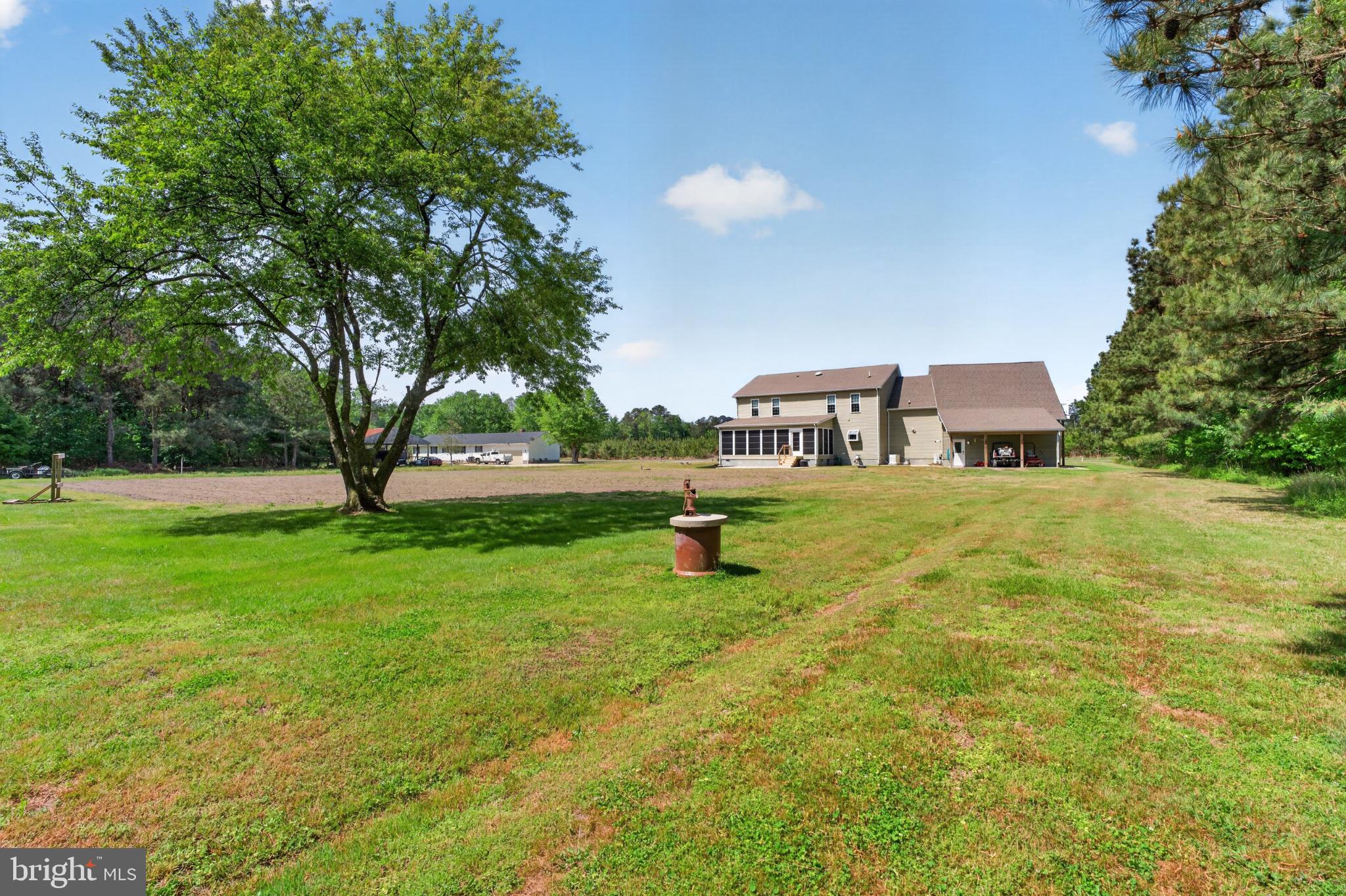 2435 Payne Road Pocomoke City, MD 21851 - Photo 74 of 75 Spacious retreat with lush greenery.