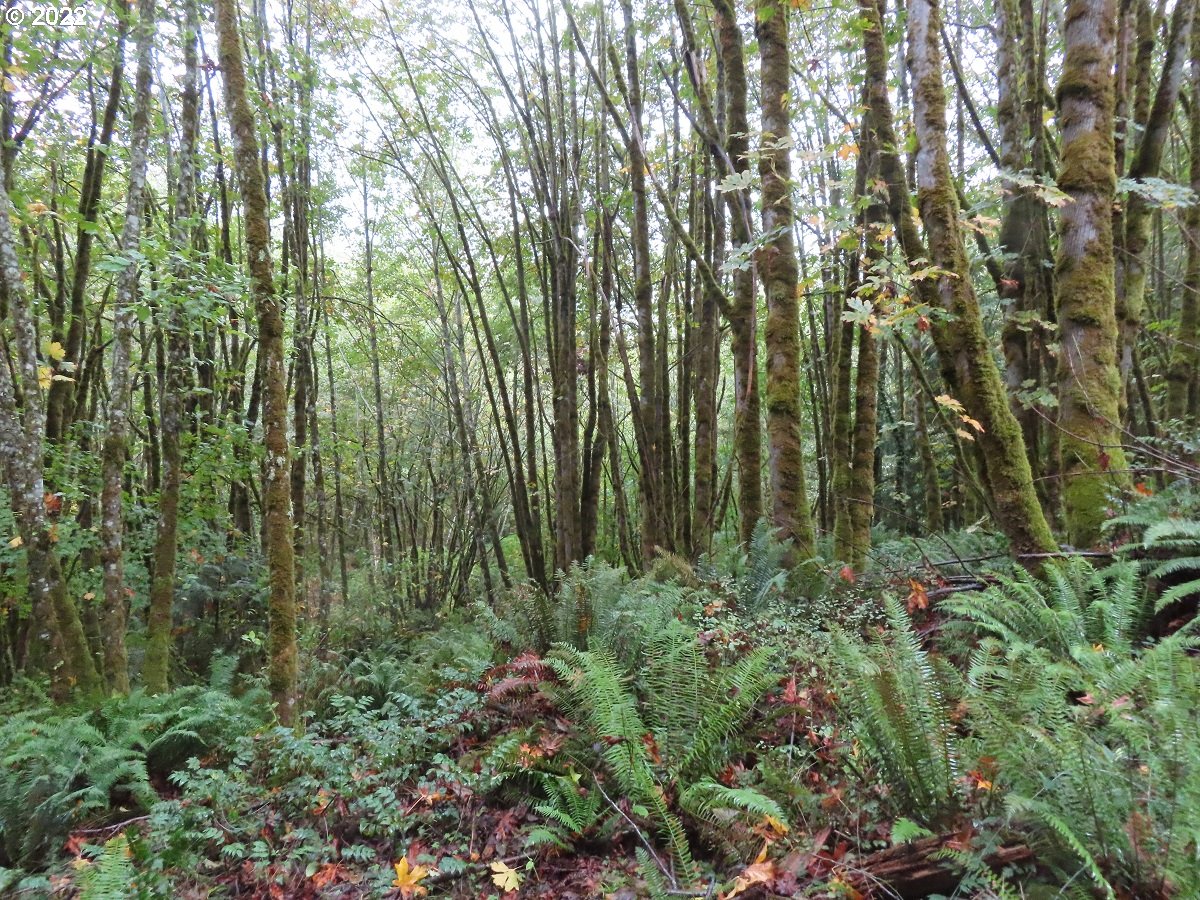 808 Clark Creek Road, Unit H Longview, WA 98632 - Photo 28 of 28 Gallery Image 28
