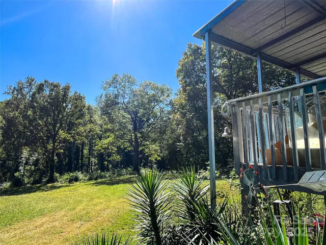 a view of a backyard with plants