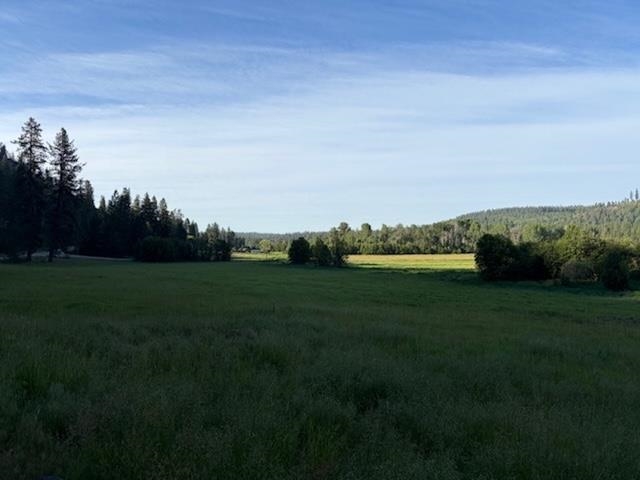 29-xx Red Marble Road Chewelah, WA 99109 - Photo 17 of 19